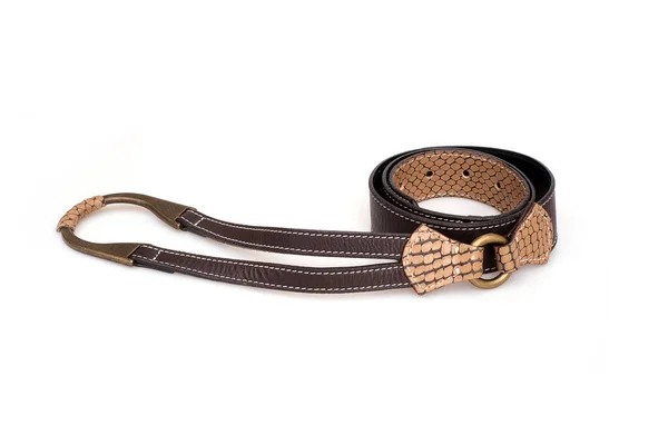 Ceinture Cuir Avec Décor Reptile Isolé Sur Fond Blanc — Photo