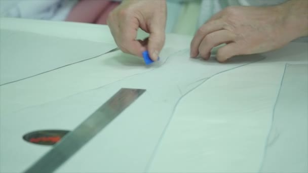 Couturière prépare les matériaux pour la coupe — Video