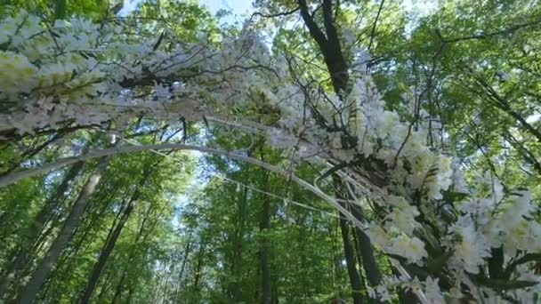 Красива весільна арка для весілля, прикрашена білими квітами — стокове відео