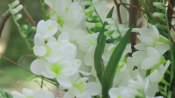 Hermoso arco de boda para el matrimonio decorado con flores blancas — Vídeos de Stock