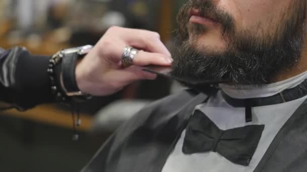 Barber combs beard close up — Stock Video