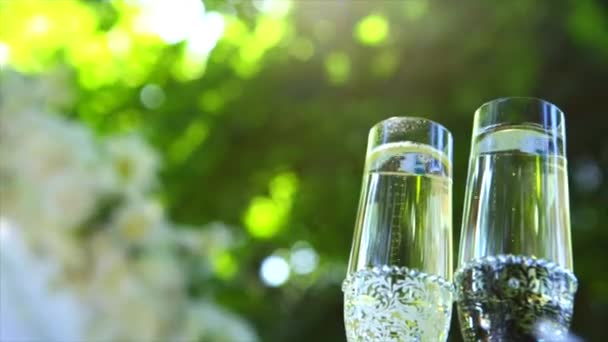 Wine glasses on the grass with green background — Stock Video