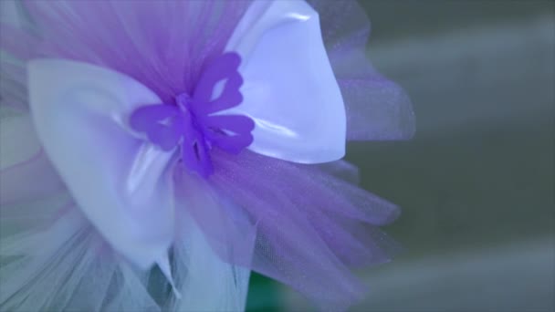 Purple with white bow close-up — Stock Video