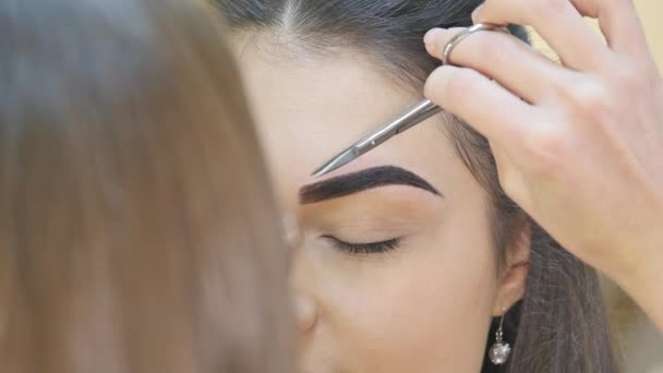 Maquillaje artista aplicar polvo con un cepillo en las mejillas modelos — Vídeos de Stock