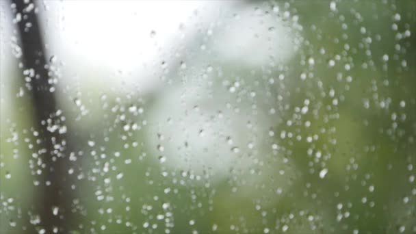 Chuva fresca respingo gotas em uma janela com fundo verde natureza em Borrão — Vídeo de Stock