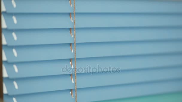 Detalj av blå stängda persienner på dagen. — Stockvideo