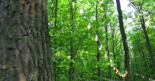 Buitenverlichting hangend aan een lijn in de achtertuin — Stockvideo