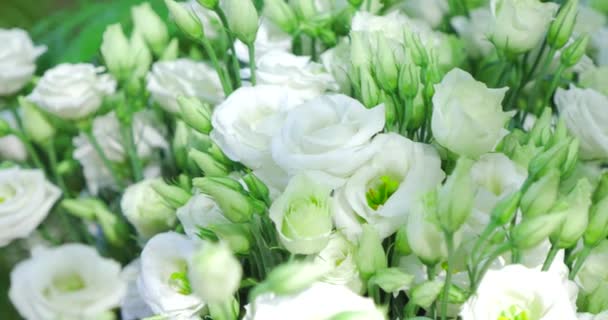 Dettaglio bouquet da sposa di rose bianche — Video Stock