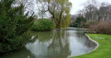 Lakeside görünümünü bir peyzaj Bahçe