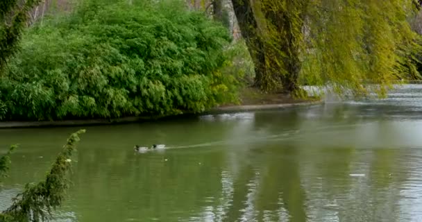 Vue sur le lac d'un jardin paysager 
