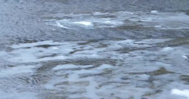Orman nehri ile kış manzarası