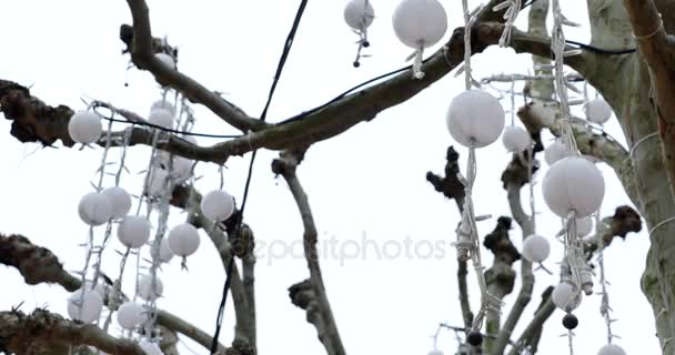 도시의 거리에서 축제 루미 — 비디오