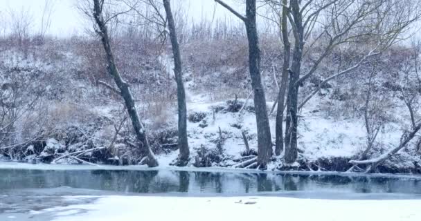 Paesaggio invernale con il fiume bosco — Video Stock