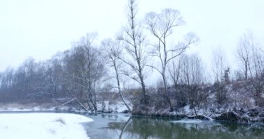 Orman nehri ile kış manzarası