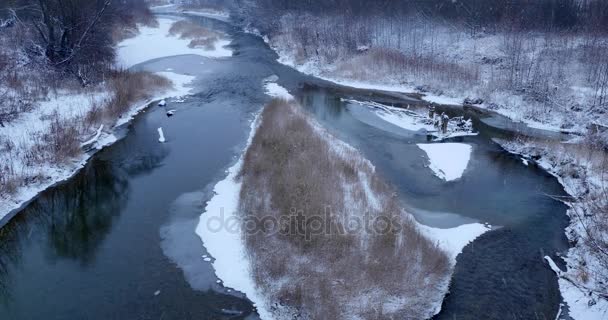 Winter landscape with the wood river — Stock Video