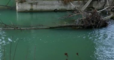 Köprüsü olan sonbahar manzarası