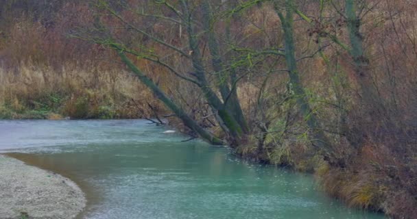 Autumn Landscape. Park in Autumn. The bright colors of autumn in the park by the river — Stock Video