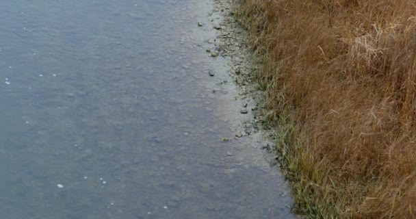 Jesień krajobraz. Park w jesieni. jasne kolory jesieni w parku nad rzeką — Wideo stockowe