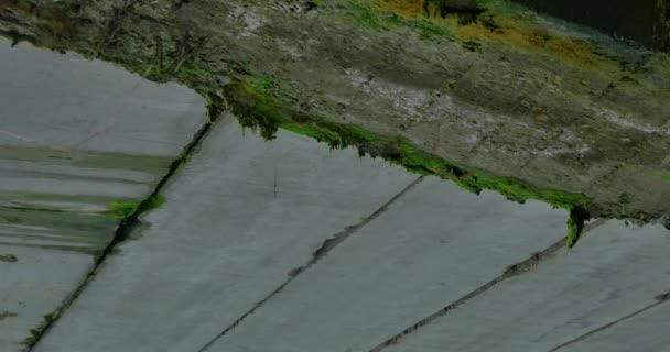 Moss pod mostem na beton — Wideo stockowe