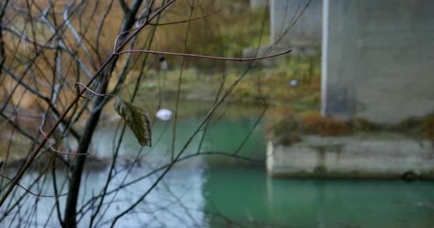 秋天有桥的风景 — 图库视频影像