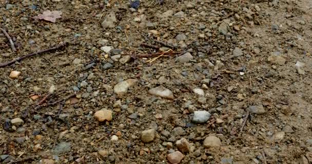 Dirt Track fond et texture close up 
