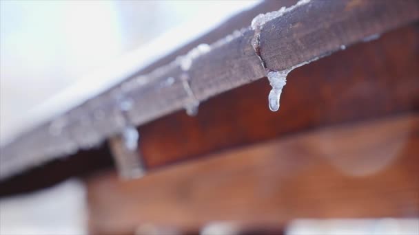 Um close-up de uma gota de derretimento e um gelo — Vídeo de Stock