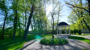 Lale ile yuvarlak flowerbed ile Bahçe ve bush