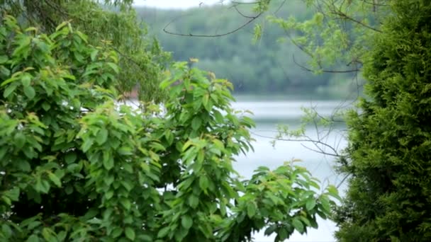 Observando um rio e uma pequena casa através das folhas das árvores verdes — Vídeo de Stock