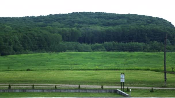 Route rurale sur fond de champs verts et de forêts — Video