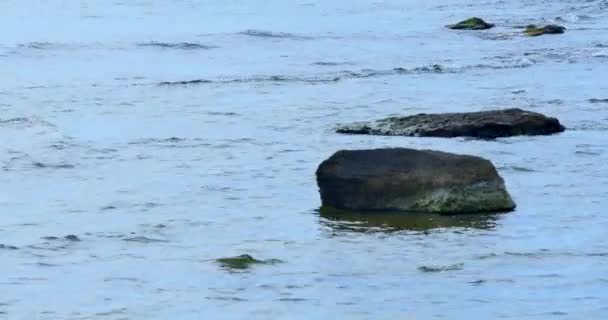 Blick auf das Meer mit Felsen und kleinen Wellen — Stockvideo