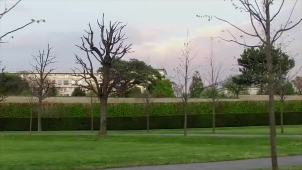 Sidewalk in the city with green grass and bare trees — Stock Video