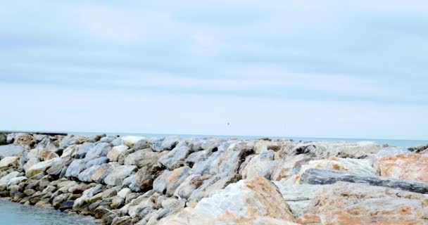 Liggande kust med stenar och surfar i molnig dag — Stockvideo