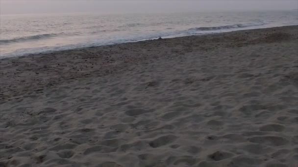 Kust med sandiga stranden och havet vågor — Stockvideo