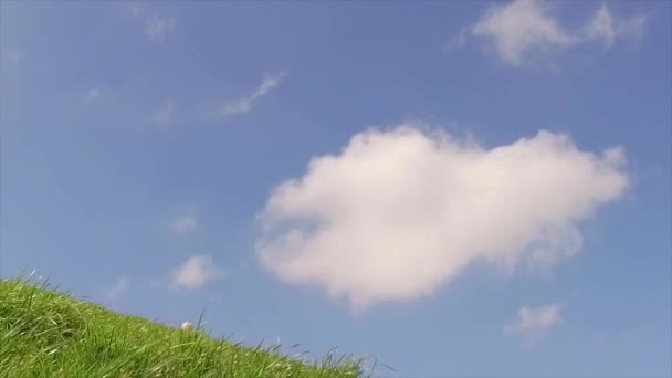 Cielo azul con nubes blancas y colina con hierba verde — Vídeo de stock