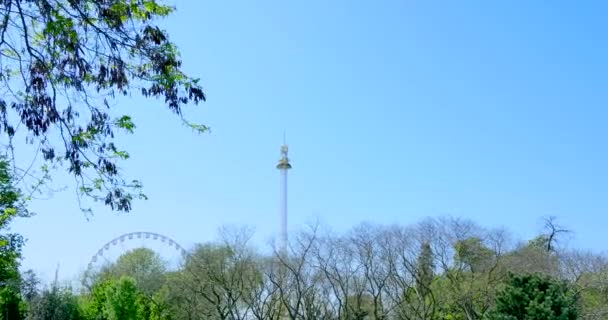 Roue de vue dans le parc à travers les arbres — Video