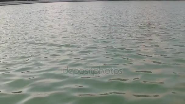 Lacul din oraș Austria Viena — Videoclip de stoc