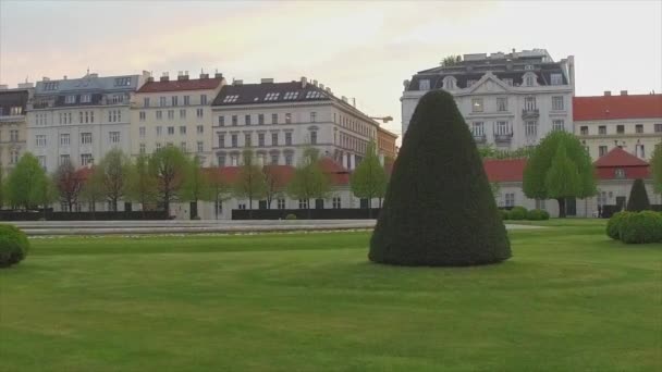 Green lawn with shrubs and trees in the city near the road and buildings — Stock Video