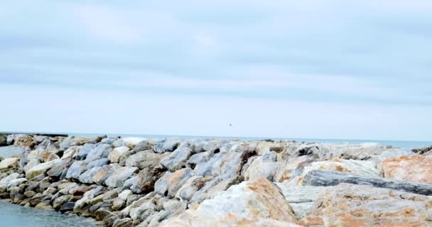 Paisaje costero con piedras y surfistas en día nublado — Vídeo de stock