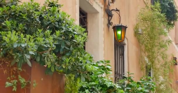 Greens near the wall of house in city with street lamp — Stock Video