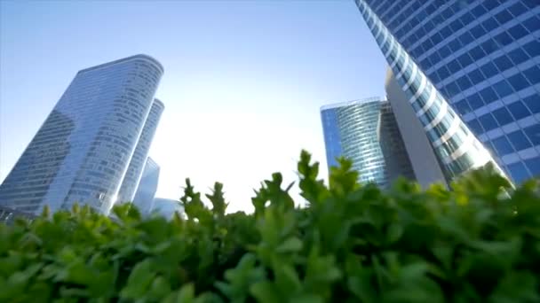 Vista de edificios modernos de vidrio alto a través de hojas de arbusto — Vídeos de Stock