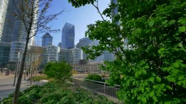 Ağaçlar ve çalılar aracılığıyla yüksek cam binaların görünümü