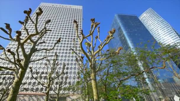 Pokroucené stromy před vysoké skleněné stavby — Stock video