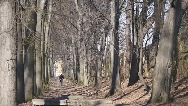 Ποδηλάτης άλμα στο πάρκο. αργή κίνηση — Αρχείο Βίντεο