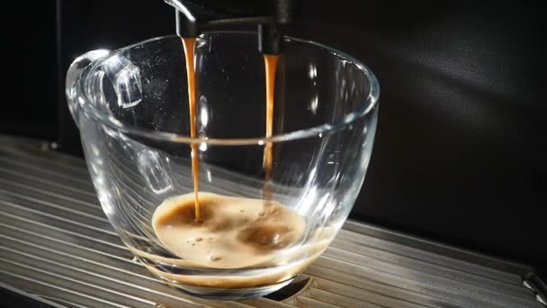 Καφετιέρα χύνει καφέ σε ένα φλιτζάνι. γκρο πλαν — Αρχείο Βίντεο