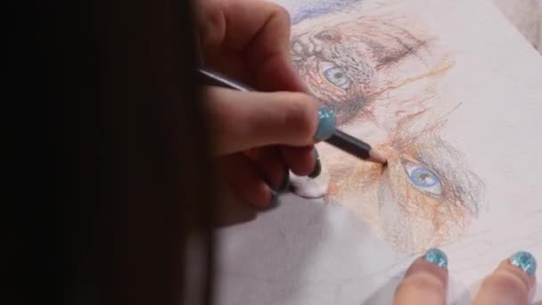 The artist draws with colored pencils — Stock Video