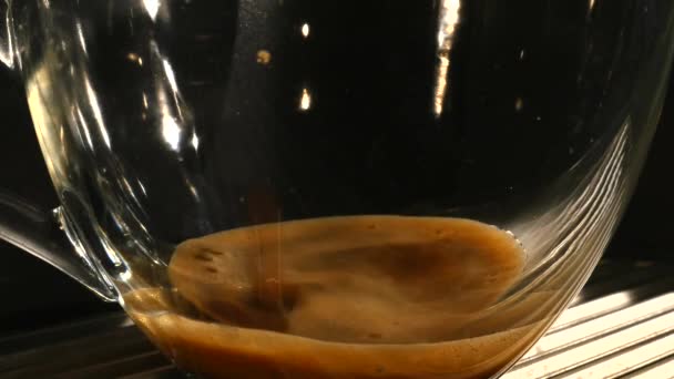 Coffee maker pours coffee into a cup. close-up — Stock Video