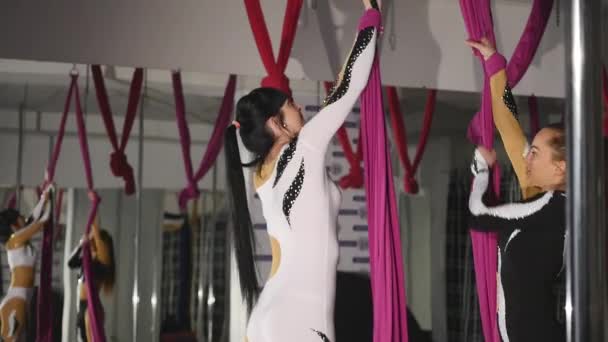 Primer plano, Dos chicas gimnastas giran en lienzos — Vídeos de Stock