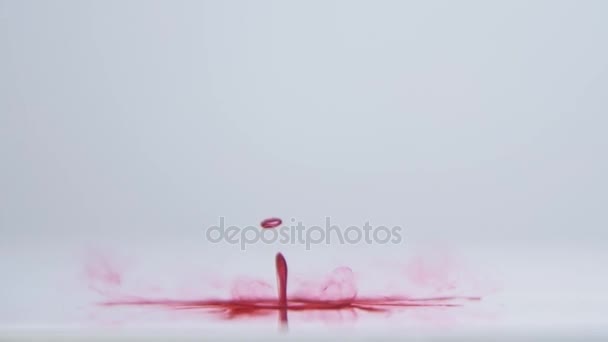 Red Ink In Water abstract — Stock Video