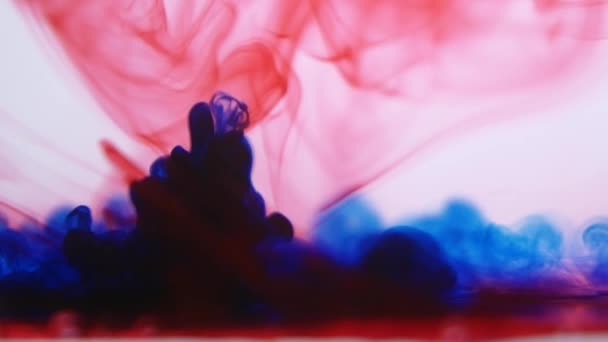 Röd blå bläck i vatten — Stockvideo