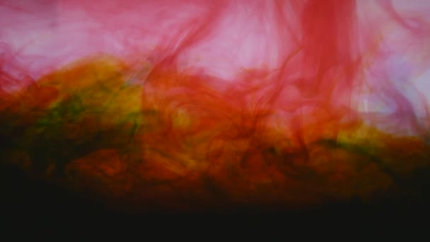 Tinták vízben színes robbanás — Stock videók